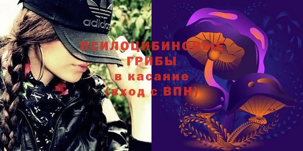 прущие крисы Абаза