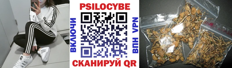 где купить наркоту  Абакан  Галлюциногенные грибы Cubensis 